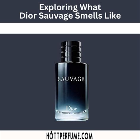 sauvage dior clon|what smells like Dior Sauvage.